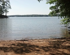 Setting 3 - A natural beach connected to higher elevation land offers even more possibilities for your custom lakefront retreat. Imagine your home integrated into the hillside of this setting with stairs down to the beach and to your boat house - with magnificant view looking out to the main lake.