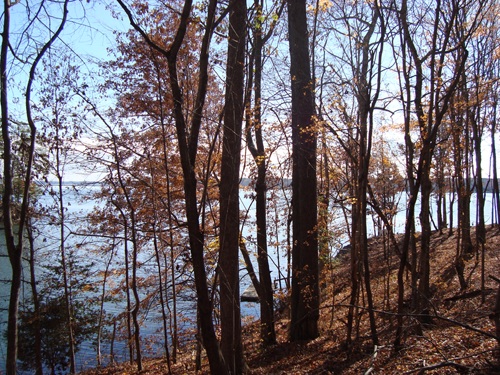 Imagine your home here...the view from your window...