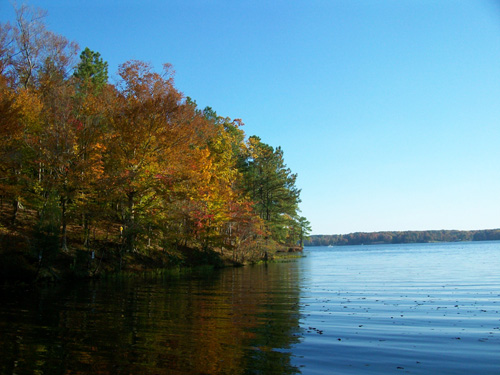 Roanoke Reserve - property #6 - beautiful views of the cove and main lake