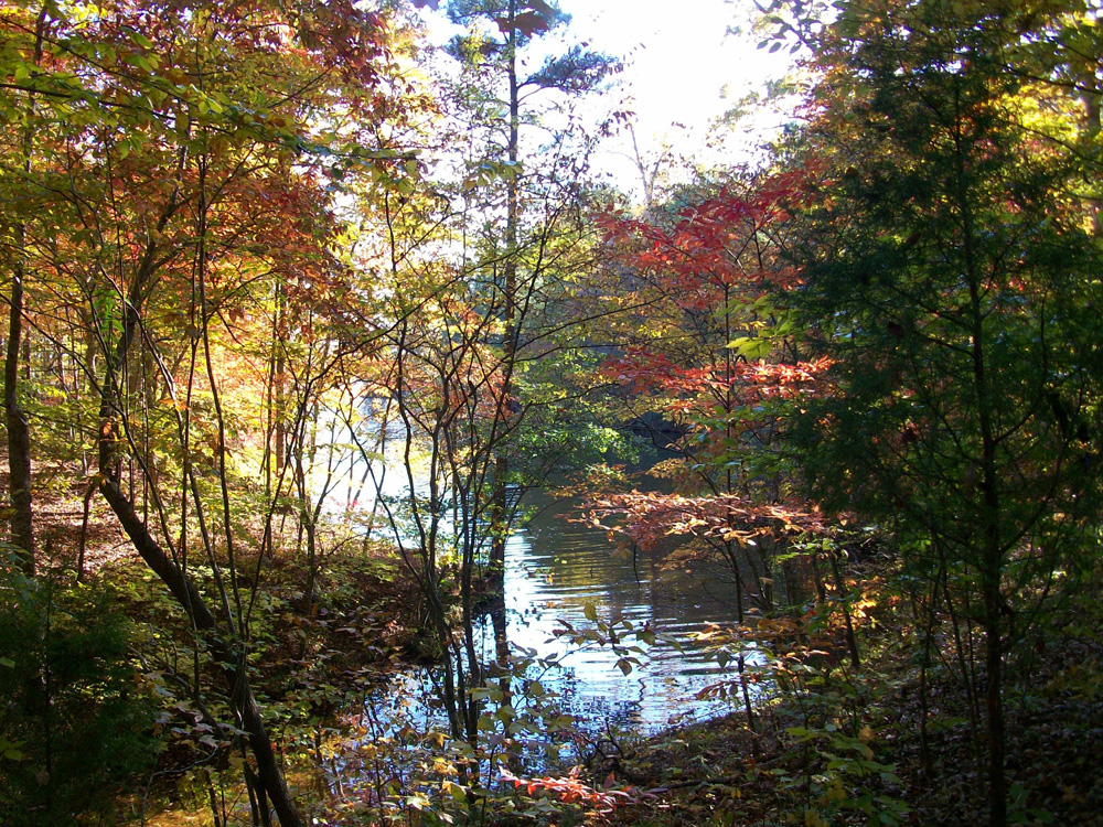 Enjoy nature's magic on the Reserve with the change of seasons.